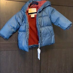 Zara Toddler Jacket